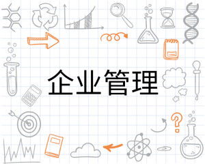 现代企业管理 核心要素与持续优化策略